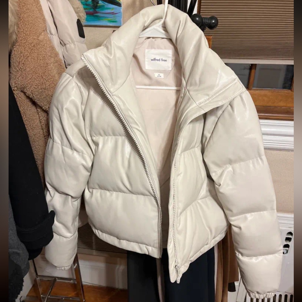 Aritzia Wilfred Free Vista Puffer